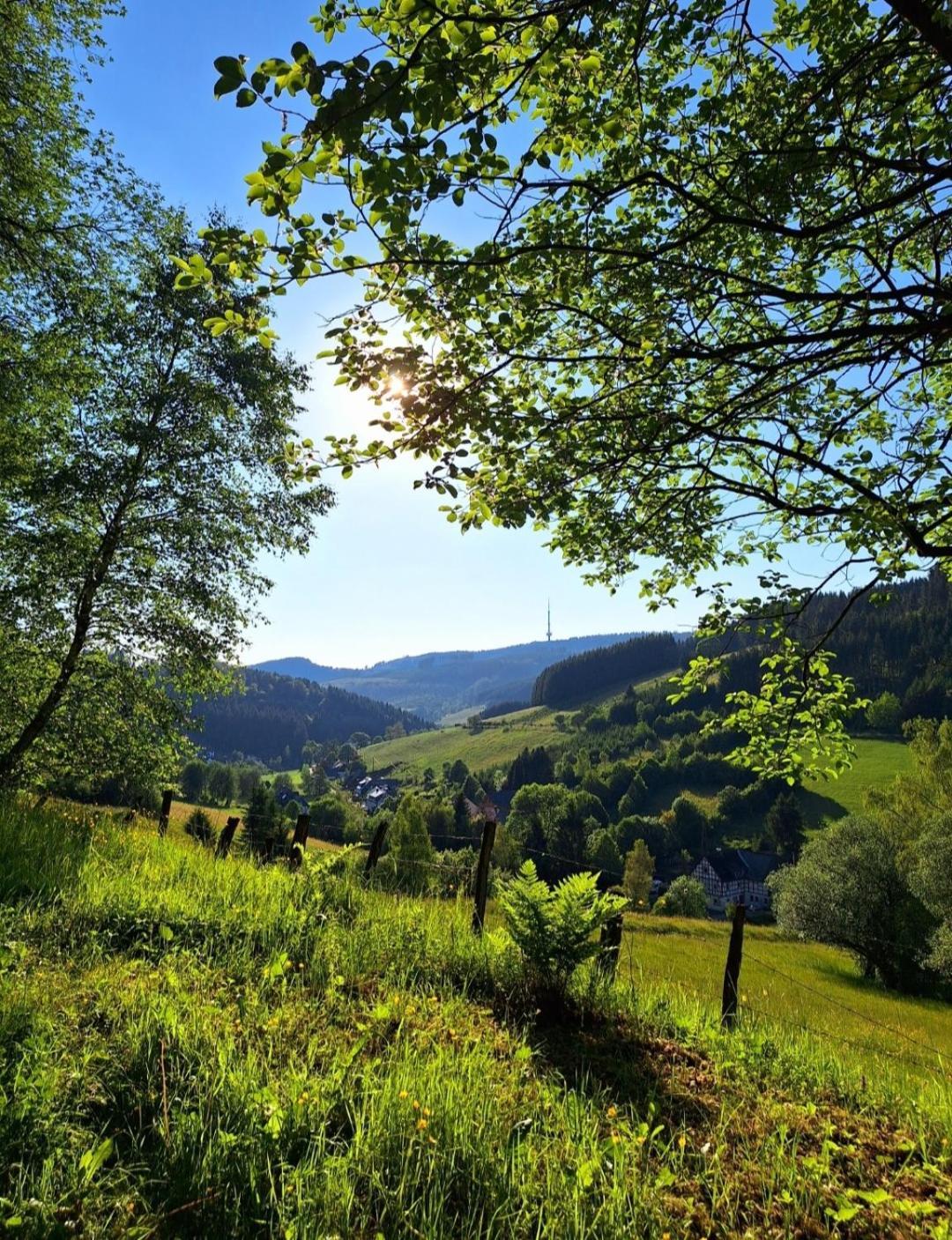 Ferienwohnung Kraehling Schmallenberg Bagian luar foto