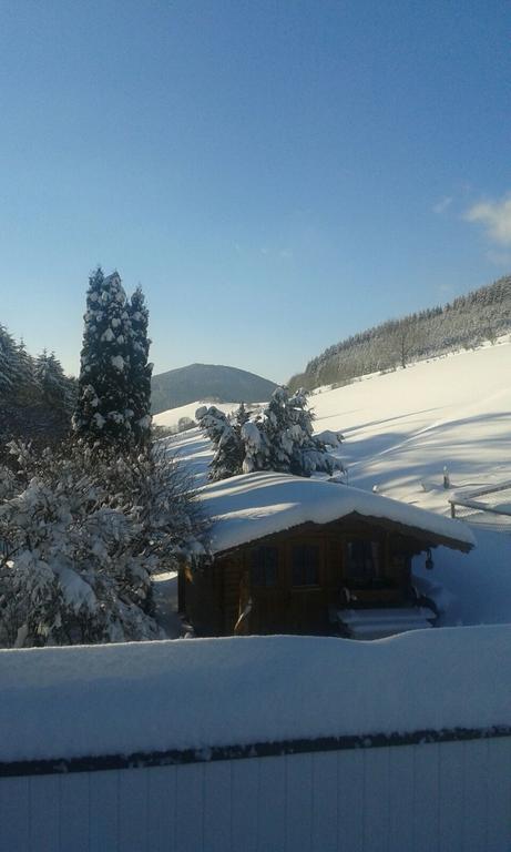Ferienwohnung Kraehling Schmallenberg Bagian luar foto