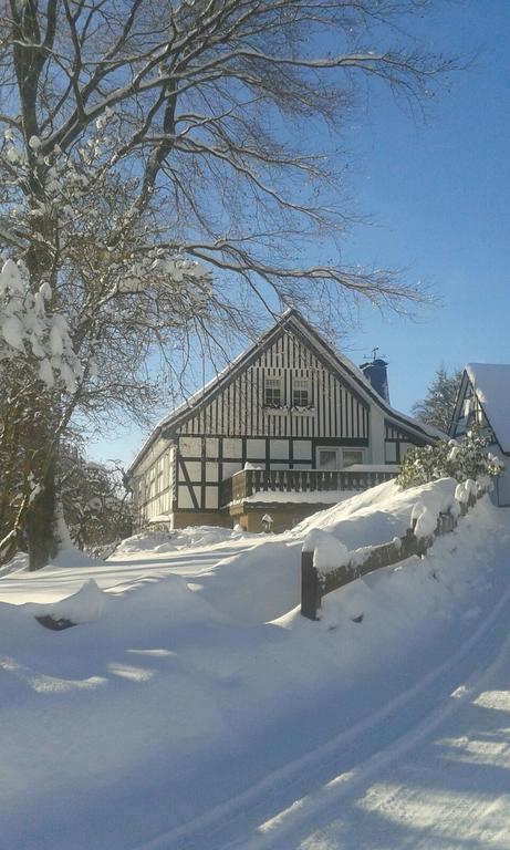 Ferienwohnung Kraehling Schmallenberg Bagian luar foto