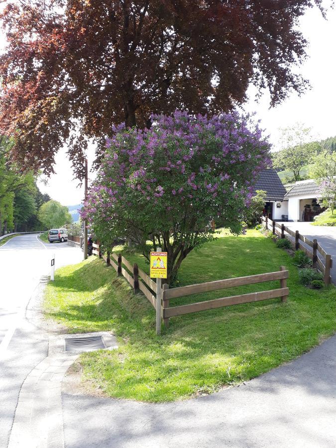 Ferienwohnung Kraehling Schmallenberg Bagian luar foto